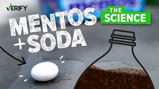 VERIFY The Science Behind Why Mentos Makes Soda Explode [upl. by Rosette]