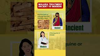 Malaria ancient remedies modern medicine [upl. by Ardene970]