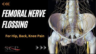 Femoral Nerve Flossing for Hip Back Knee Pain [upl. by Xonel54]