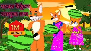 ঘরের উঠানে তরমুজ চাষ।Gharae uthane tarmuj chash  cartoon video  fox cartoon  cartoon on [upl. by Arahsal964]