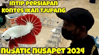 GOKIL‼️HAMPIR 3000 ENTRY PESERTA KONTES TJUPANG DI NUSATIC NUSAPET 2024 YUK KITA LIAT KESERUANNYA [upl. by Yendirb]