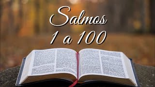 BÍBLIA SALMOS 1 A 100 [upl. by Aititil]