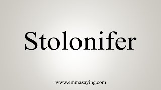 How To Say Stolonifer [upl. by Neiviv188]