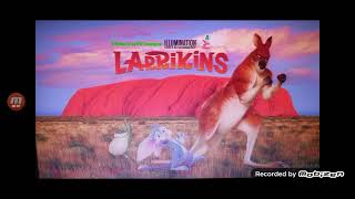 Dreamworks Larrikins [upl. by Everson421]