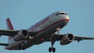 Lauda Europe Airbus A320 232 Landing on EPRZ RzeszówJasionka Airport [upl. by Chi621]