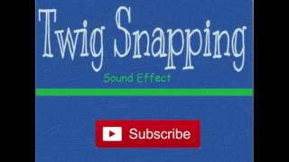 Twig SnappingSound Effect [upl. by Nnaeel]