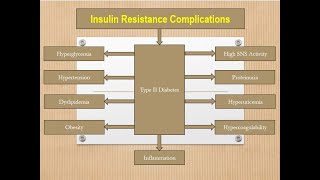 Fibromyalgia and Insulin Resistance – Part 106 [upl. by Shanan151]