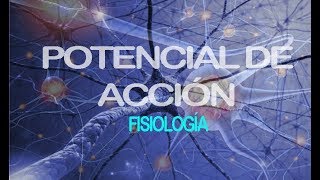 Potencial de acción  Fisiología [upl. by Astrix790]