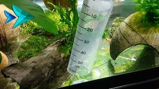 How to make SHRIMP SAFE Aquarium Vacuum [upl. by Tilford]