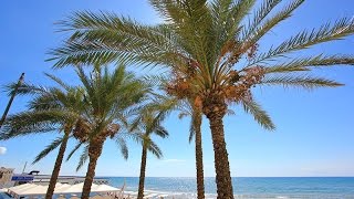 Tour delle spiagge di Marina di Ragusa col drone [upl. by Annaoy]