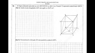 Simulare evaluare naţională matematică ISJ Buzău  noiembrie 2023  Subiectul III [upl. by Aneeuq]