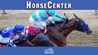 Pegasus World Cup and Pegasus World Cup Turf top picks on HorseCenter [upl. by Heck]