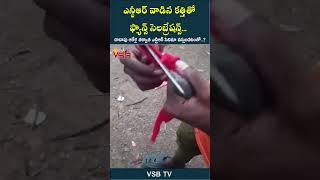 ఎన్టీఆర్ వాడిన కత్తితో ఫ్యాన్స్ సెలబ్రేషన్స్ vsbtv vsbmedia viralvideo latestnews ntr cinema [upl. by Adnahs]