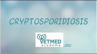 Cryptosporidiosis [upl. by Anidene631]