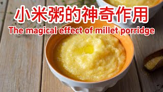 小米粥的功效與作用 The efficacy and function of millet porridge [upl. by Jose]