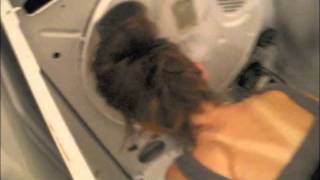 How to Change Dryer Belt on A Whirlpool Dryer [upl. by Nnyllaf470]