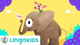 COWY HAS AN ELEPHANT 🐘  Nursery Rhymes  Lingokids [upl. by Acinaj]