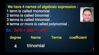 Polynomial expressions  Experimental session [upl. by Marcela]