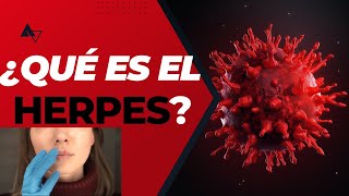 ¿Qué es el Herpes [upl. by Eelirak544]