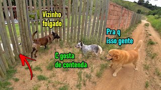 Caçando contenda com a vizinhança  Veja o vídeo todo antes de me xingar todinhorsrsrsr [upl. by Nohsyt896]