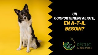 Votre chien atil besoin de voir un comportementaliste canin [upl. by Hauge305]