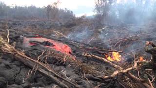 September 15th 2014 Lava Flow Heading to Pahoa [upl. by Ibbob]