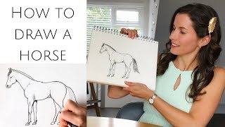 How to draw a horse standing for beginners [upl. by Reviere751]