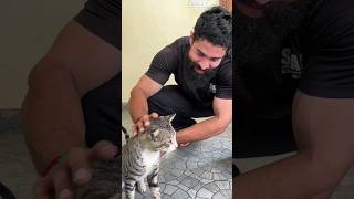 kanmani anbodu kadhalan  pets pet petlover [upl. by Annoif]