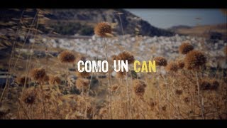 Como un Can  TRONERAS  Videoclip Oficial [upl. by Sidnala56]