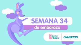 Semana 34 de embarazo [upl. by Shiroma]