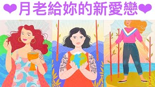 愛情占卜🔮 月老為你安排的新戀情🌈新戀人訊息💖相遇時間地點✨占卜愛情塔羅牌 [upl. by Abrams]