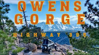 Discovering Highway 395s Hidden Treasures The Ultimate Campsite Revealed [upl. by Aeniah]