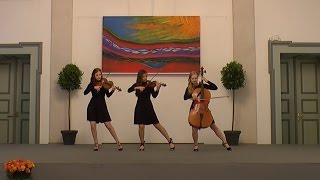 Tango Trio Sommerkonzert 2016 [upl. by Ilise554]