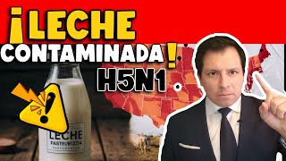 ¡ALERTA ¿TRANSMISIÓN DE GRIPE AVIAR H5N1 EN LECHE PASTEURIZADA  FDA EMITE INFORME [upl. by Aztinaj]