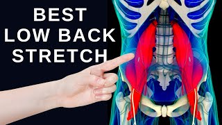 1 Best Low Back Stretch for Lower Back Pain Relief [upl. by Eey]