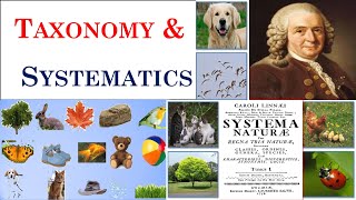 Taxonomy  Systematics  Carolus Linnaeus  Part 1 [upl. by Sutphin]