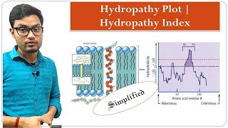 Hydropathy Plot  Hydropathy Index  Cell Biology [upl. by Snodgrass]