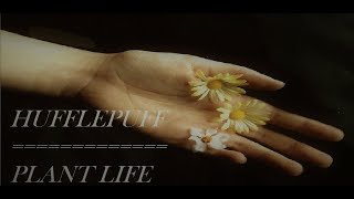 Hufflepuff House Plant Life [upl. by Trilbie]