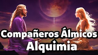 ALQUIMIA y Aspectos OSCUROS de las LLAMAS GEMELAS [upl. by Weigle300]