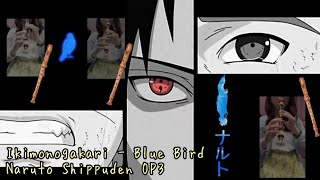 Naruto Shippuden OP3  Blue Bird Recorder Trio [upl. by Server577]