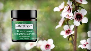 Manuka Honey SkinBrightening Eye Cream HowTo [upl. by Ardelle]