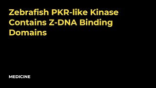 A PKR like eukaryotic initiation factor 2 kinase from zebrafish contains Z DNA binding domains inste [upl. by Otreblig123]