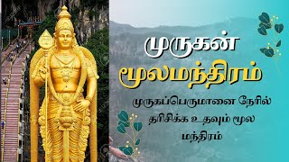 முருகன் மூல மந்திரம் முருகனை நேரில் தரிசிக்க உதவும் மந்திரம்Murugan Moola Mantra devotional [upl. by Revilo331]