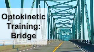 Optokinetic Training Bridge Drive Intermediate Pattern Complexity [upl. by Gabey354]