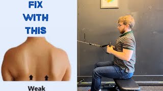 5 Exercises That Fix Scapular Winging  Complete Guide and Workout Plan 💪✅ [upl. by Suirada]