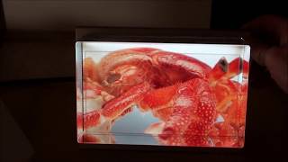 LkG Convert 2D photo to Holographic 3D Display [upl. by Ttebroc]