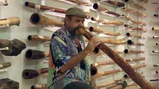 Mark Atkins Didgeridoo  Spirit Gallery [upl. by Ulrick924]