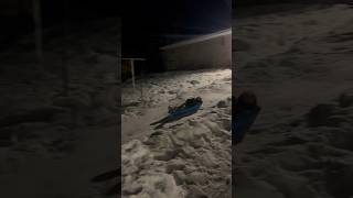 Night Sledding sledding snow [upl. by Kingdon]