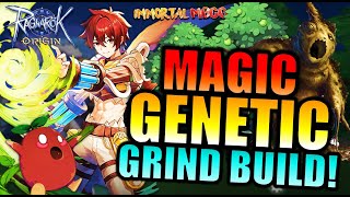 MDMG GENETIC 4SPOT GRIND BUILD  RAGNAROK ORIGIN [upl. by Obel]