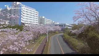 【公式】豊橋技術科学大学プロモーションビデオ（解説ver [upl. by Inaej]